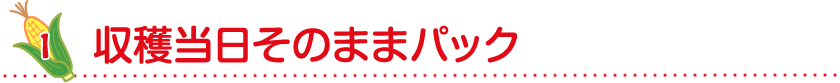 収穫当日そのままパック