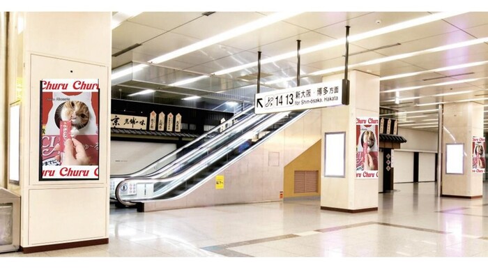 新幹線京都駅コンコースに「ちゅ～る」が登場！22面デジタルサイネージ広告を開始