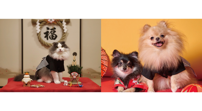 【2026年２月カレンダー用】テーマは「節分」！わんちゃん・猫ちゃんカレンダー画像を大募集