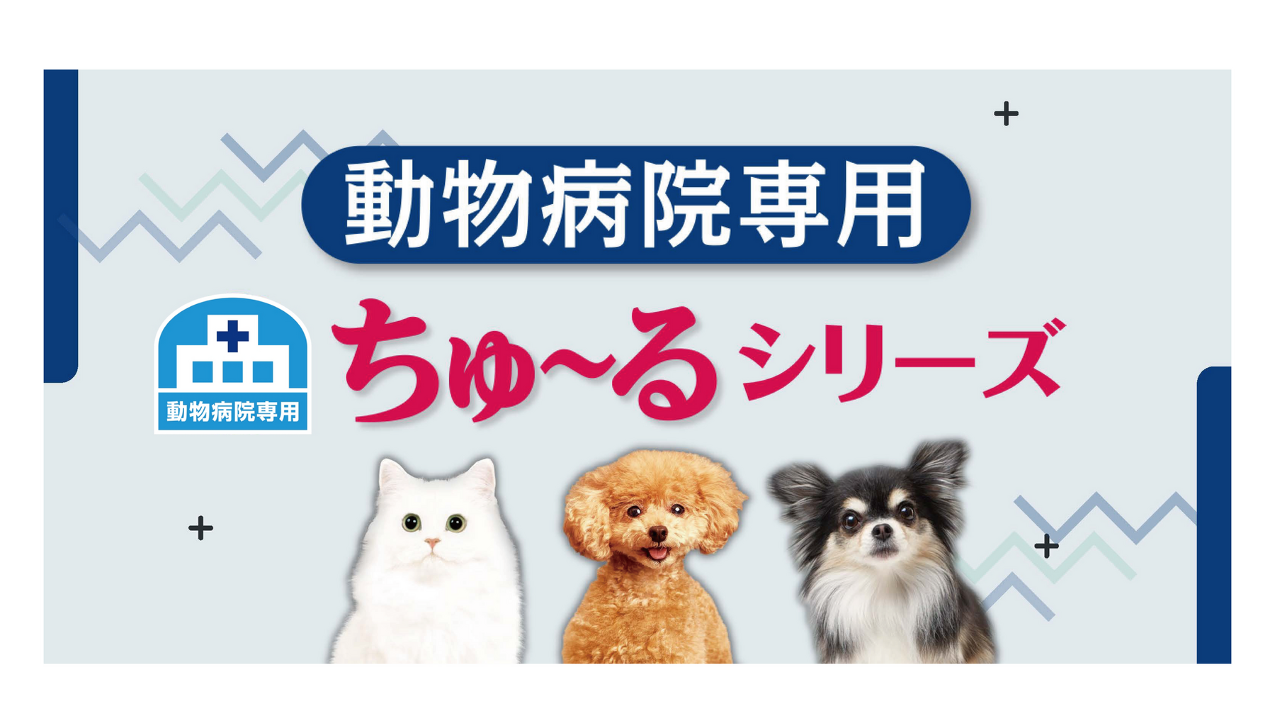 獣医現場の診療をサポート！全国の動物病院専用「ちゅ～る」シリーズをラインナップ