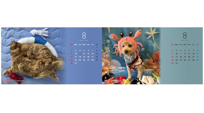 テーマは「海」　2026年8月わんちゃん・猫ちゃんカレンダー画像を公開中！