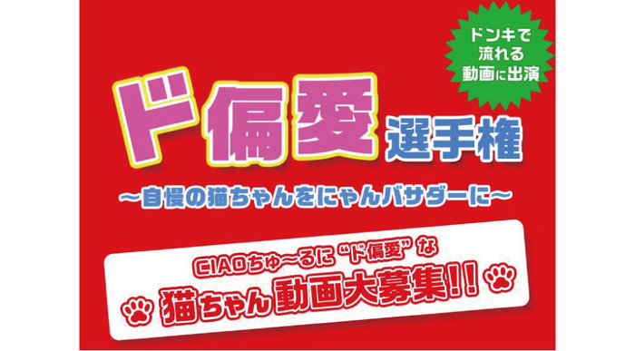 ドンキとコラボの「ド偏愛選手権」！あなたの猫ちゃんが全国デビューするかも？
