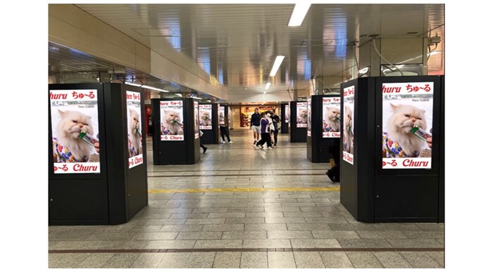 大阪・なんば駅が「ちゅ〜る」一色に！8月1日より大迫力の44面ビジョン広告を放映開始
