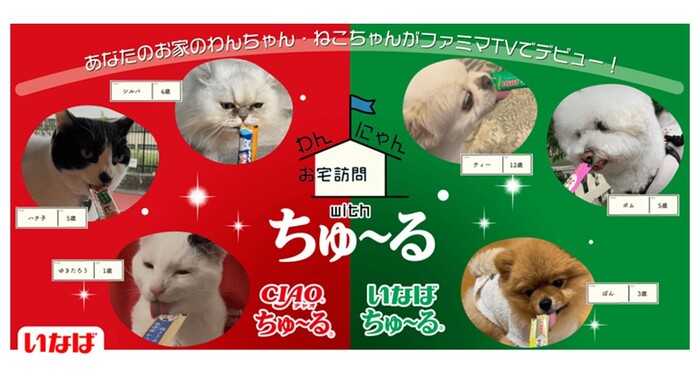 ご家庭のわんちゃん・ねこちゃんがファミマTVで全国放映！？ちゅ〜るを食べているかわいい動画を大募集！