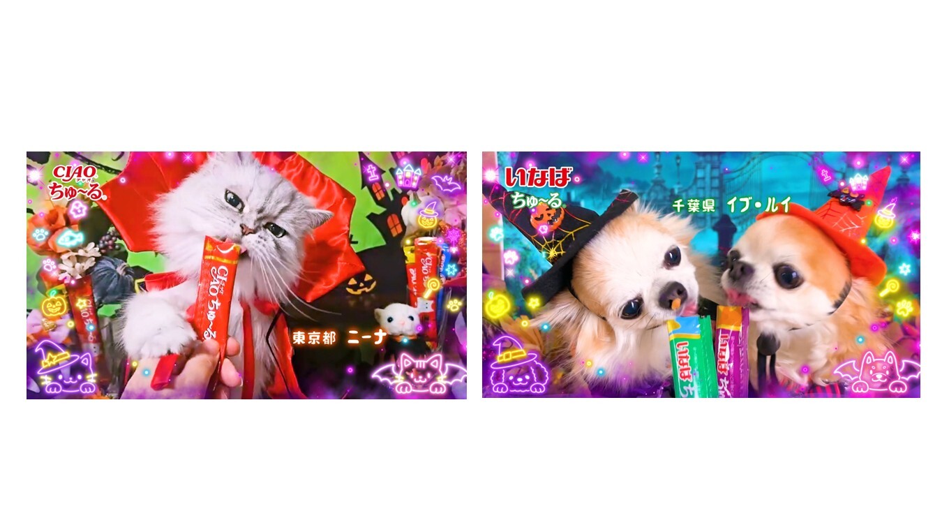 2026年ハロウィン「ちゅ～る」TVCM全4篇を公開！全国の猫ちゃん・わんちゃんが仮装で登場