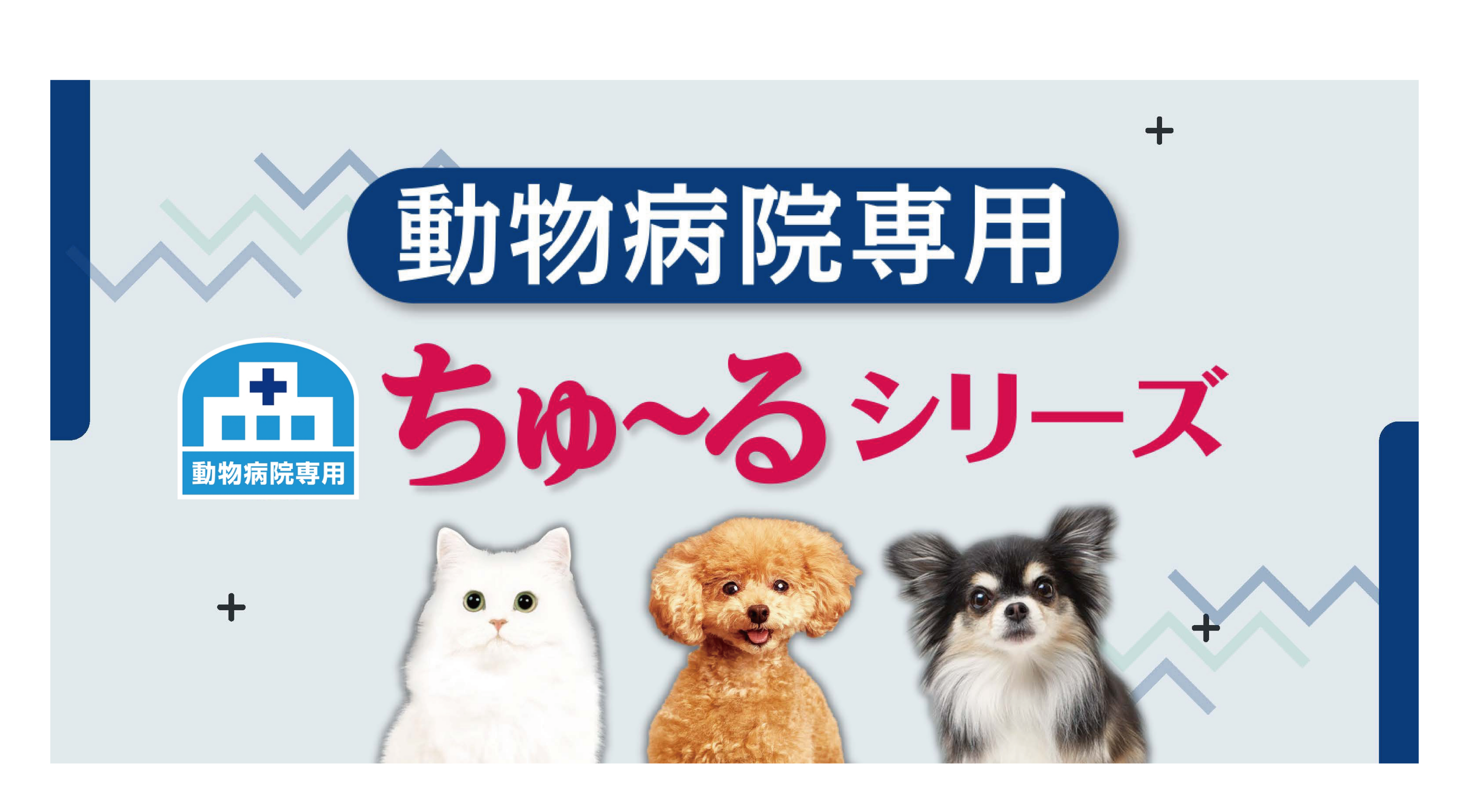 獣医現場の診療をサポート！全国の動物病院専用「ちゅ～る」シリーズをラインナップ
