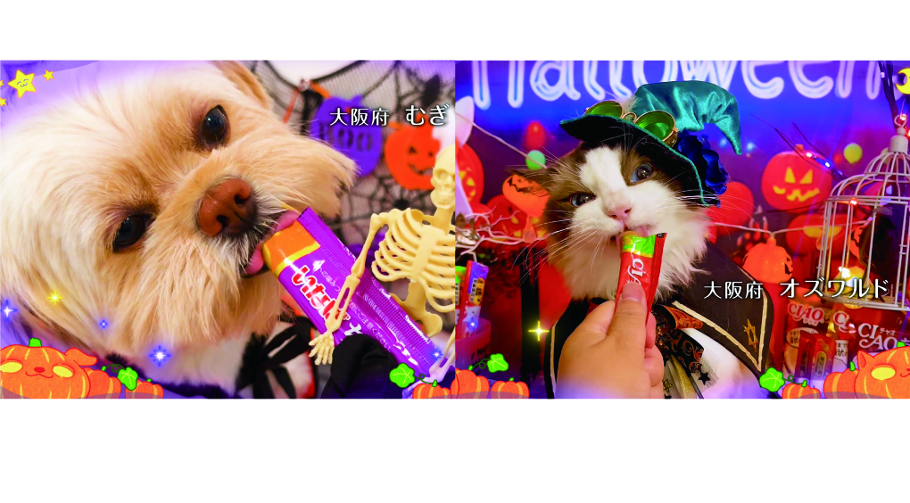 「ちゅ～るメーカー」で応募！2026年ハロウィンTVCM出演のわんちゃん・猫ちゃん動画を大募集
