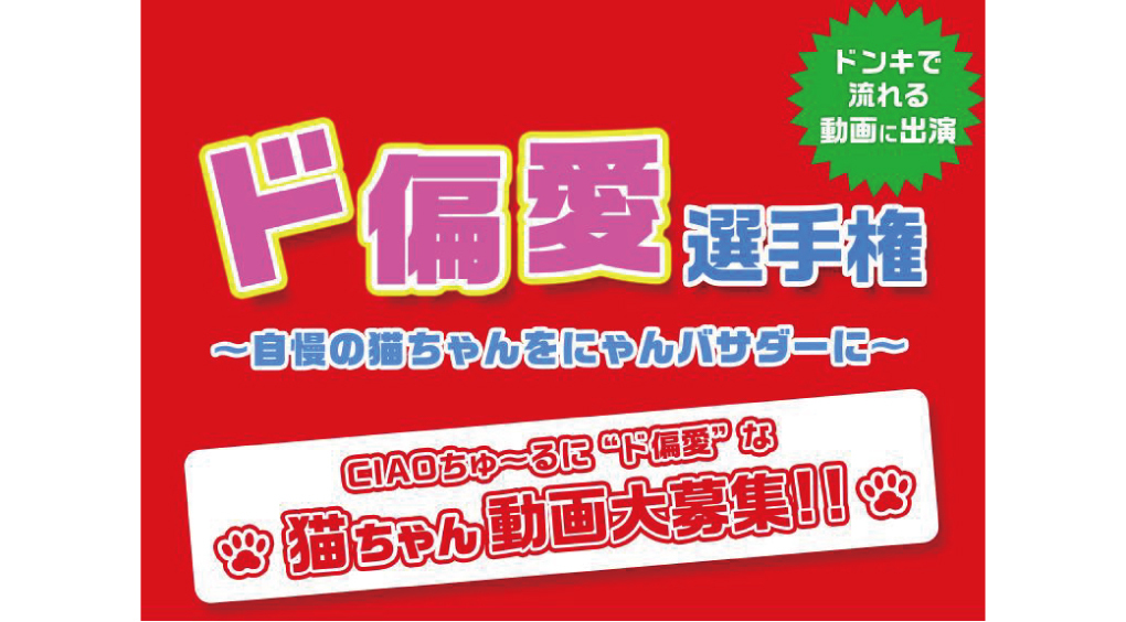 ドンキとコラボの「ド偏愛選手権」！あなたの猫ちゃんが全国デビューするかも？