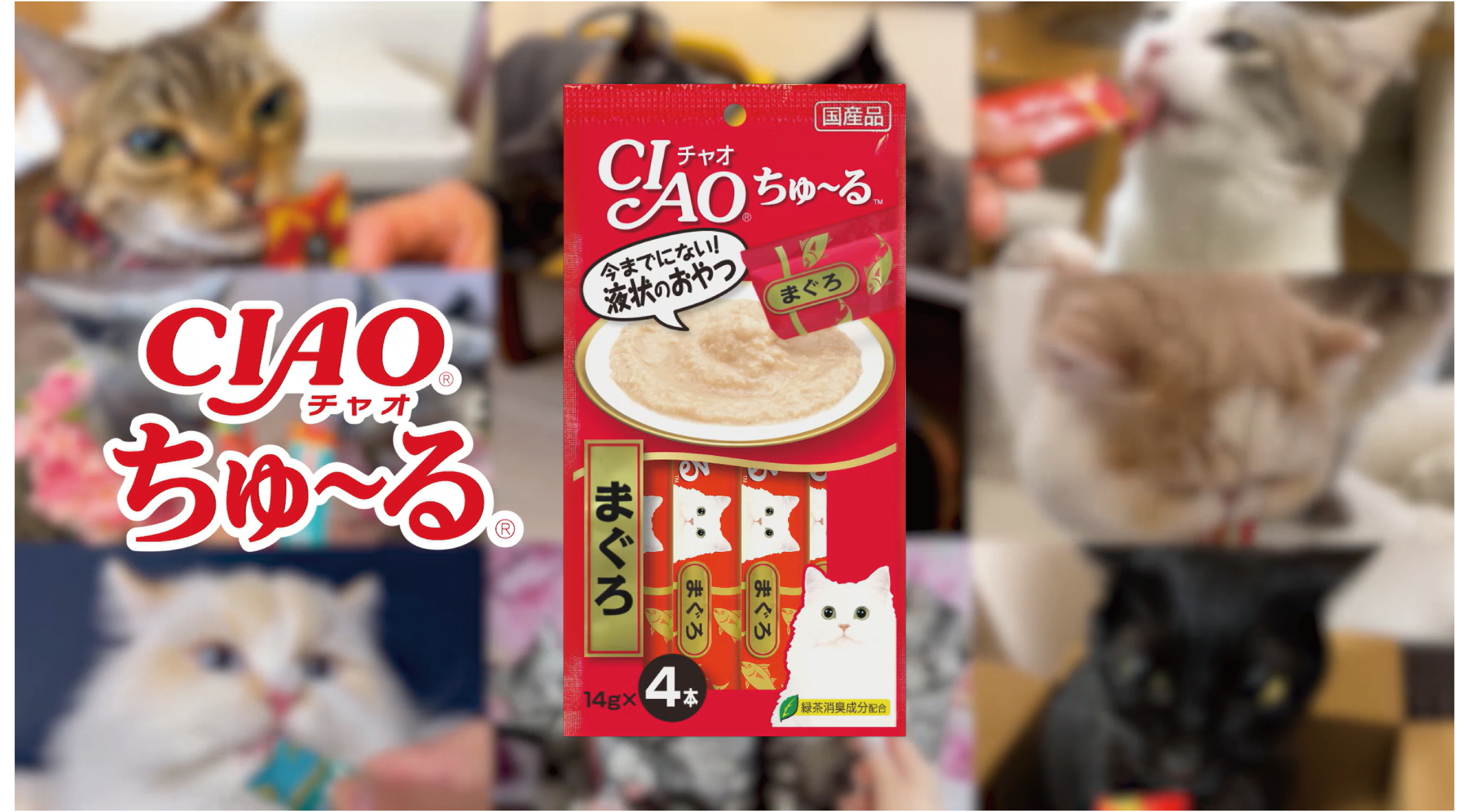 あなたの猫ちゃんがTVデビュー？「CIAO ちゅ～る」CM動画を大募集！