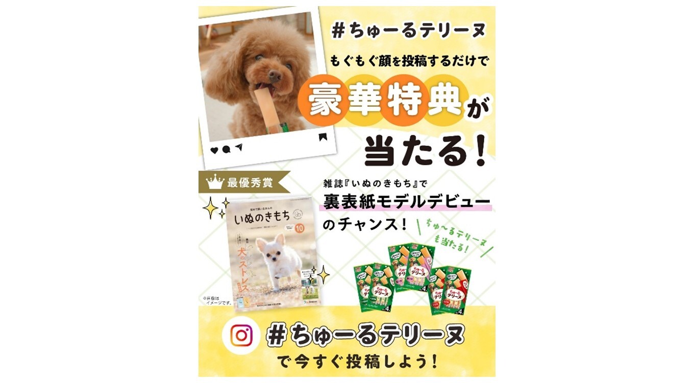 愛犬が雑誌モデルデビューのチャンス！「#ちゅーるテリーヌ」Instagram投稿キャンペーンを開催中