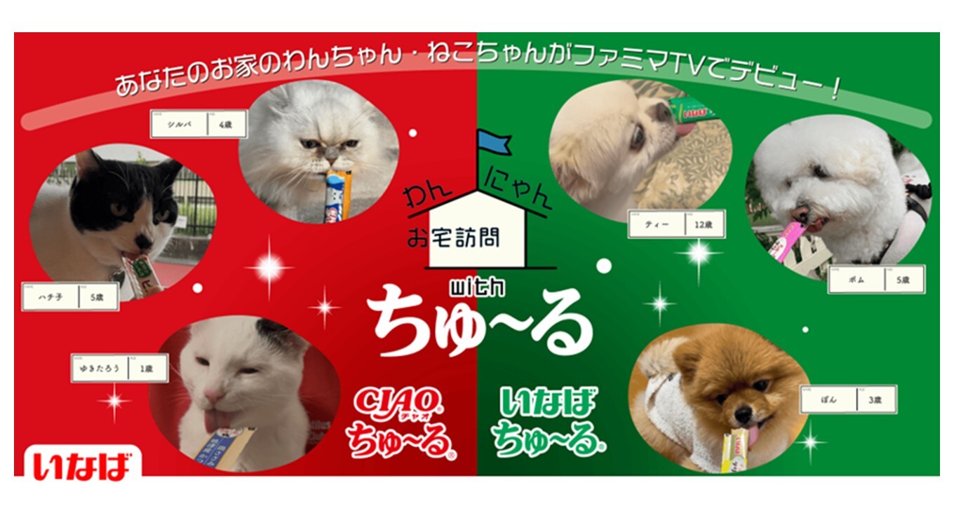ご家庭のわんちゃん・ねこちゃんがファミマTVで全国放映！？ちゅ〜るを食べているかわいい動画を大募集！