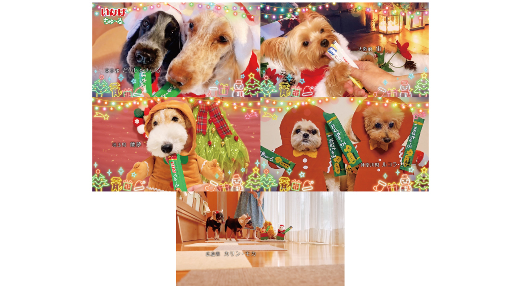 日本中のわんちゃん・猫ちゃんが出演！「ちゅ～る」新TVCMクリスマス篇