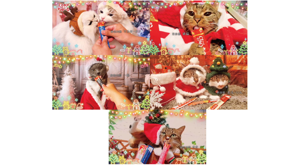 メリークリスマス！特別な壁紙をプレゼント！｜白猫プロジェクト